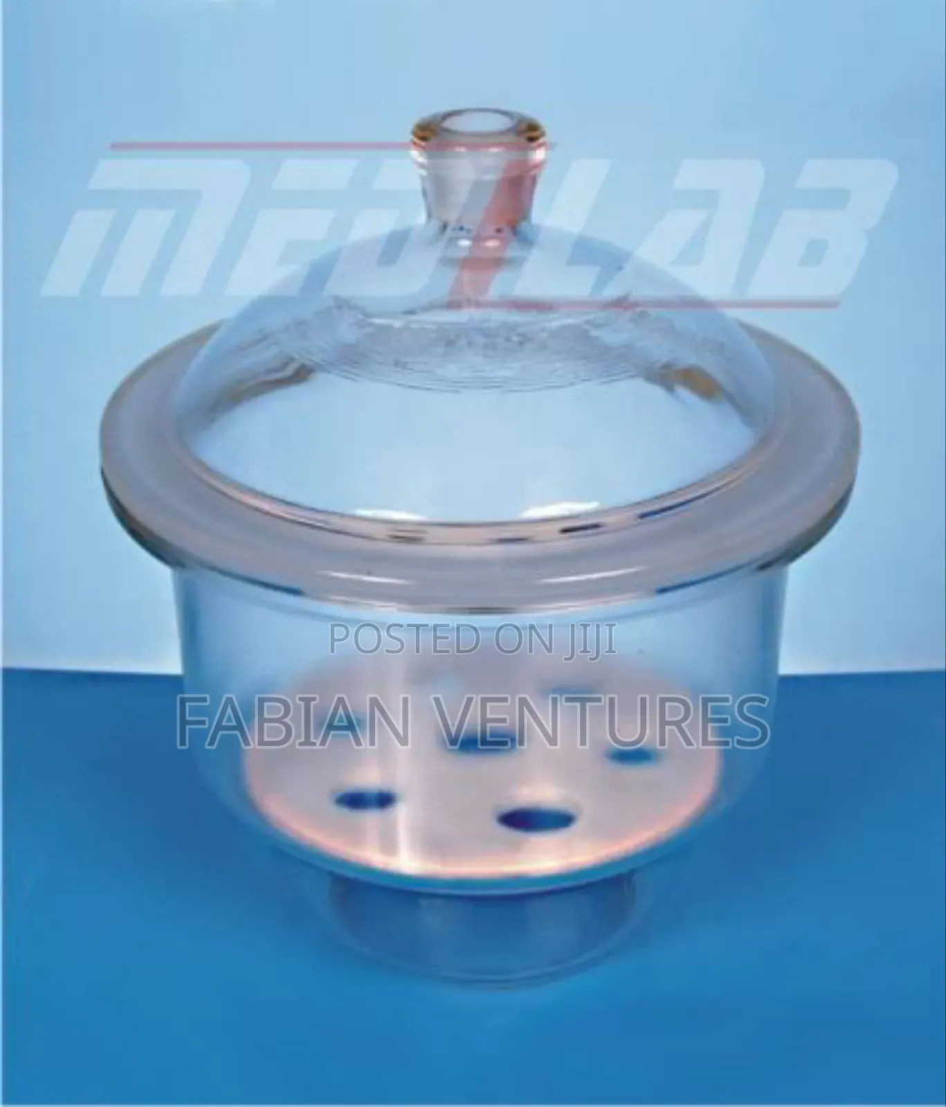Vacuum Desiccator