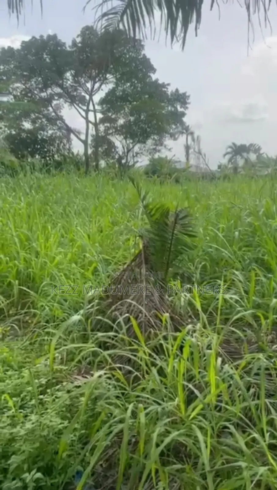 For Sale : 1 Plot at Rukpokwu Ph