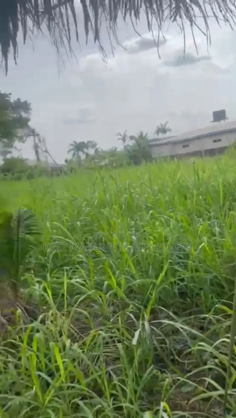 For Sale : 1 Plot at Rukpokwu Ph