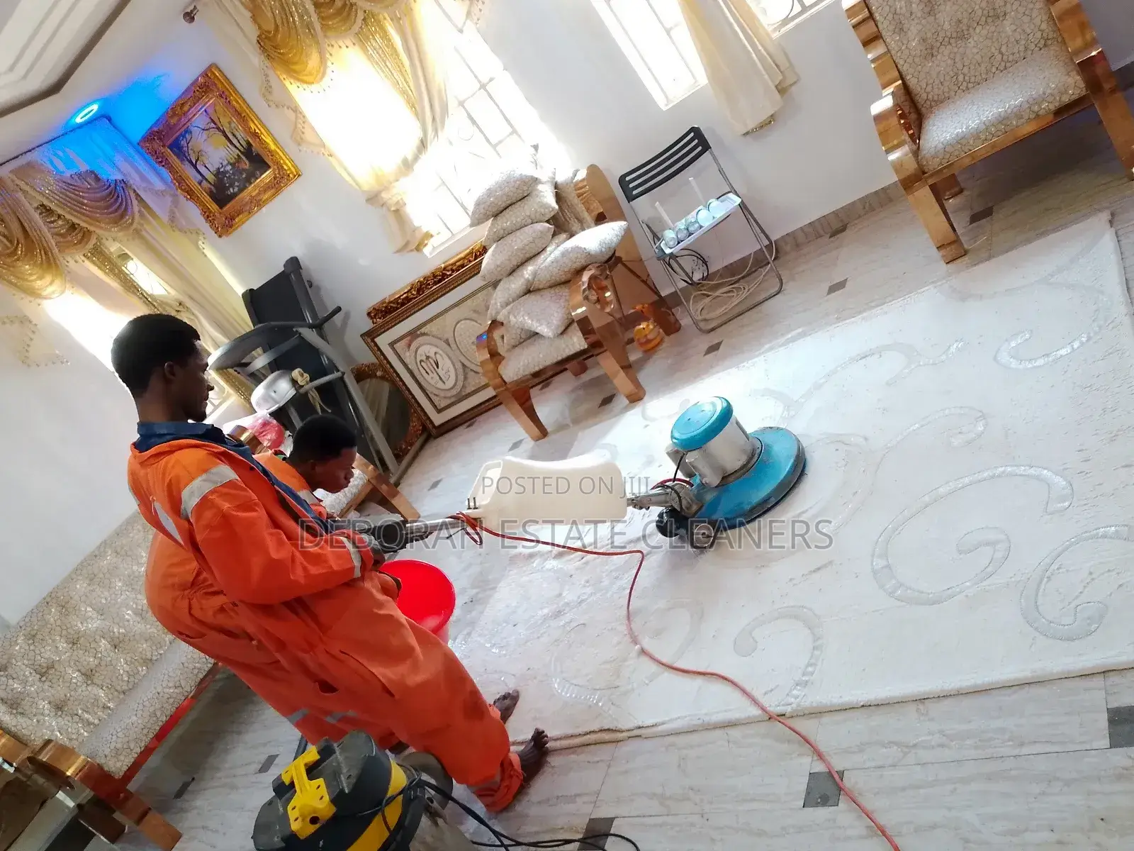 Carpet Cleaning and Vacuuming