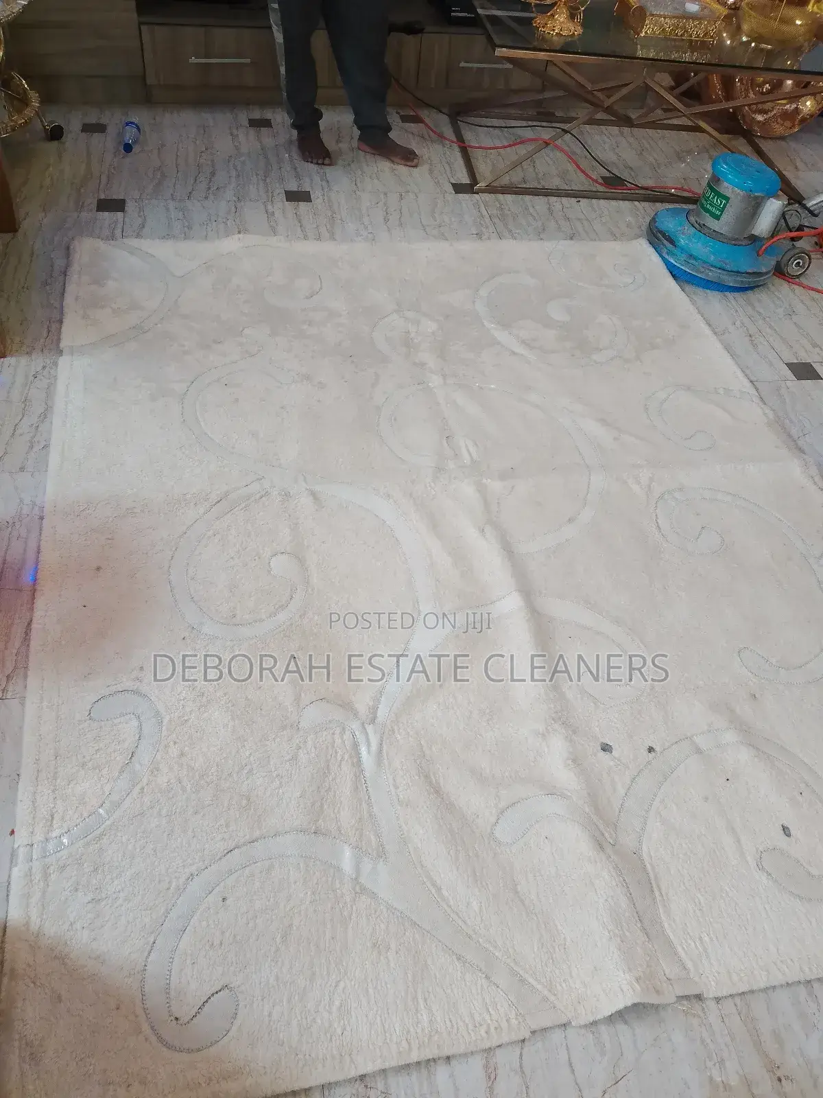 Carpet Cleaning and Vacuuming