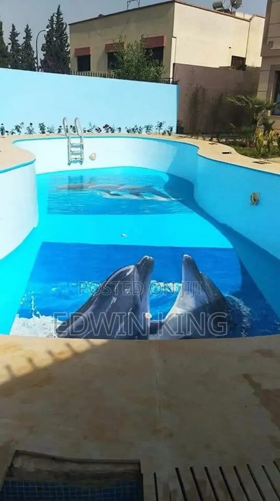 Enjoy and You