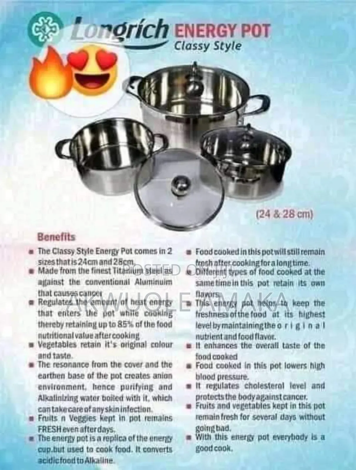 Longrich Energy Pot (28cm)