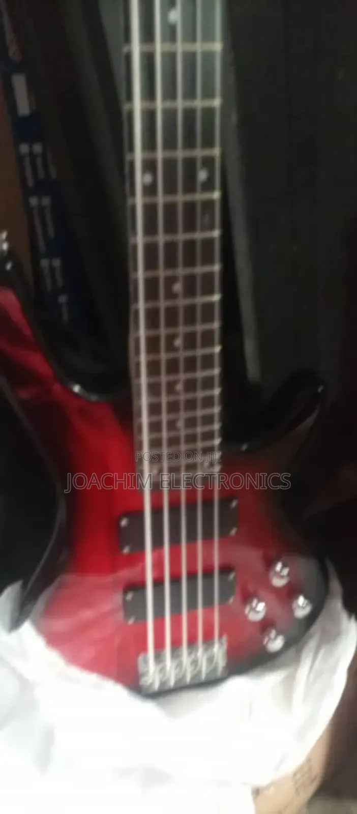 Professional Bass Guitar 5 Strings