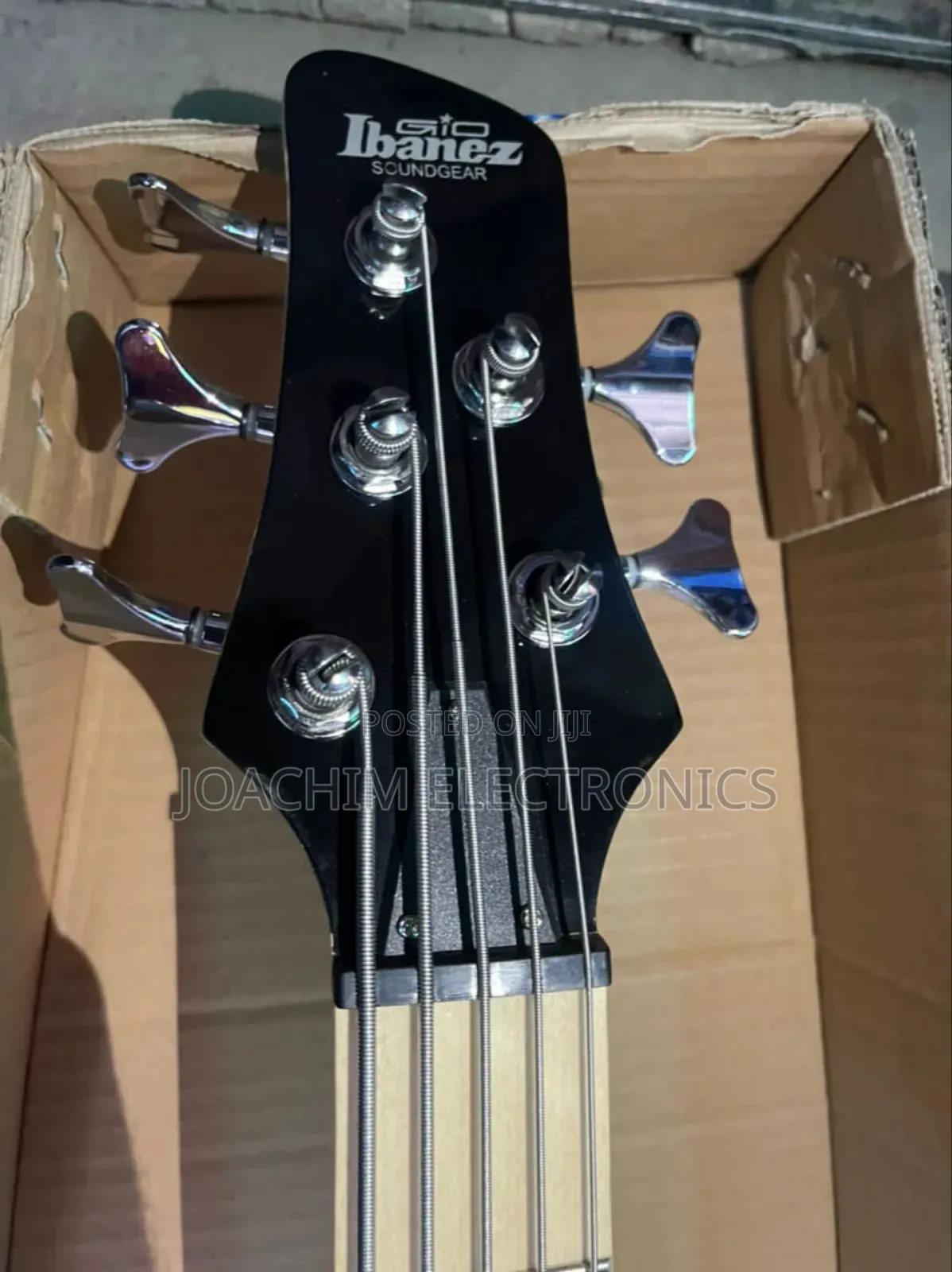 Professional Bass Guitar 5 Strings
