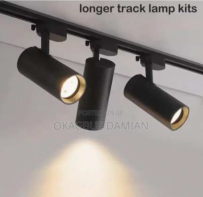 Track Light Both Black and White Body