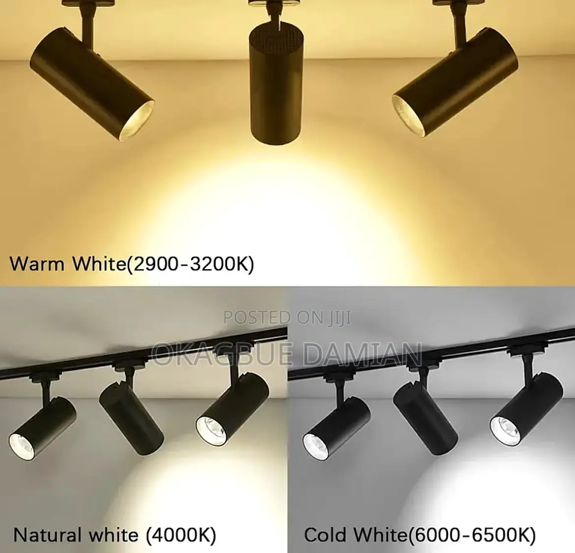 Track Light Both Black and White Body