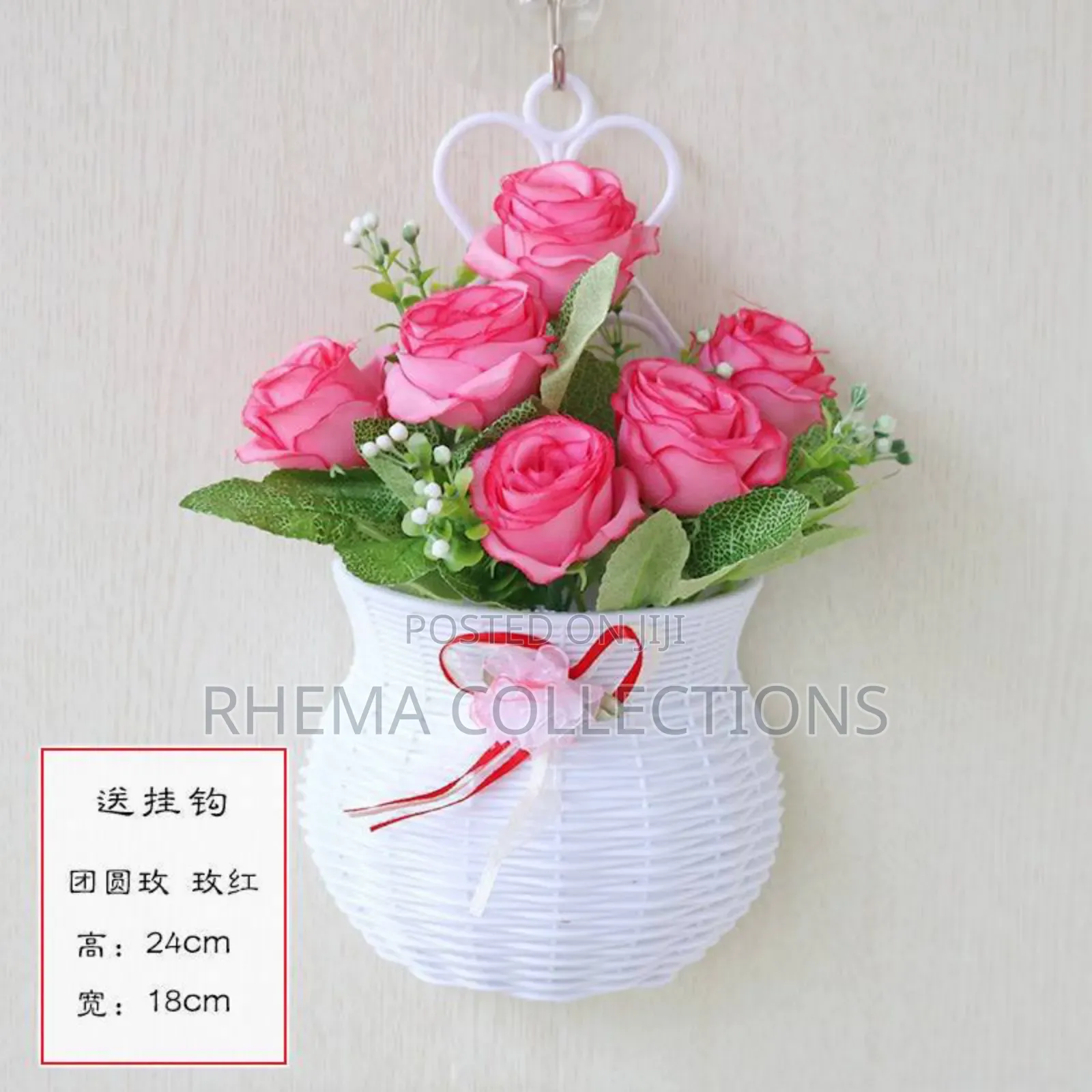 Wall Hanging Potted Plant Home and Office Decor