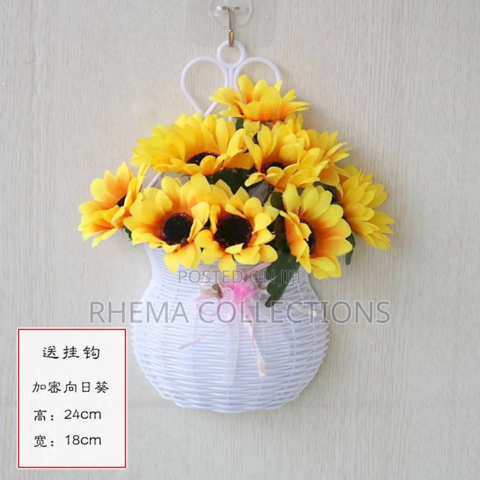 Wall Hanging Potted Plant Home and Office Decor