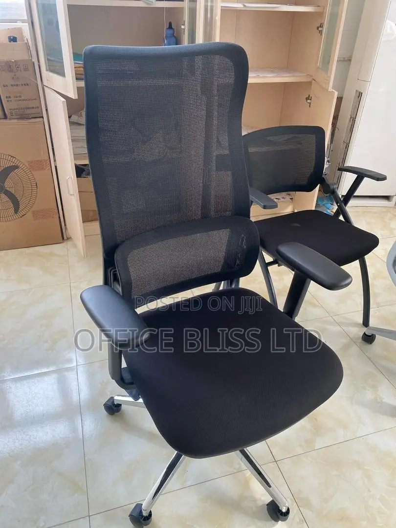 Executive Mesh Ergonomic Chair Adjustable Armrest