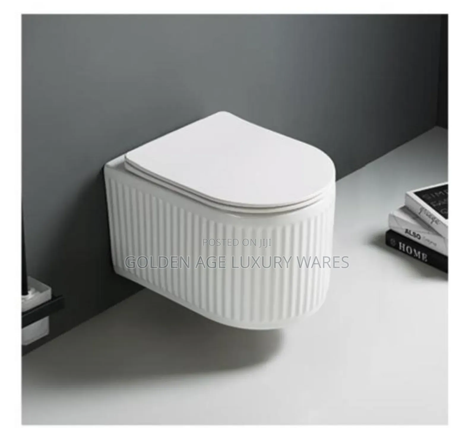 White Concealed Wc Gb03
