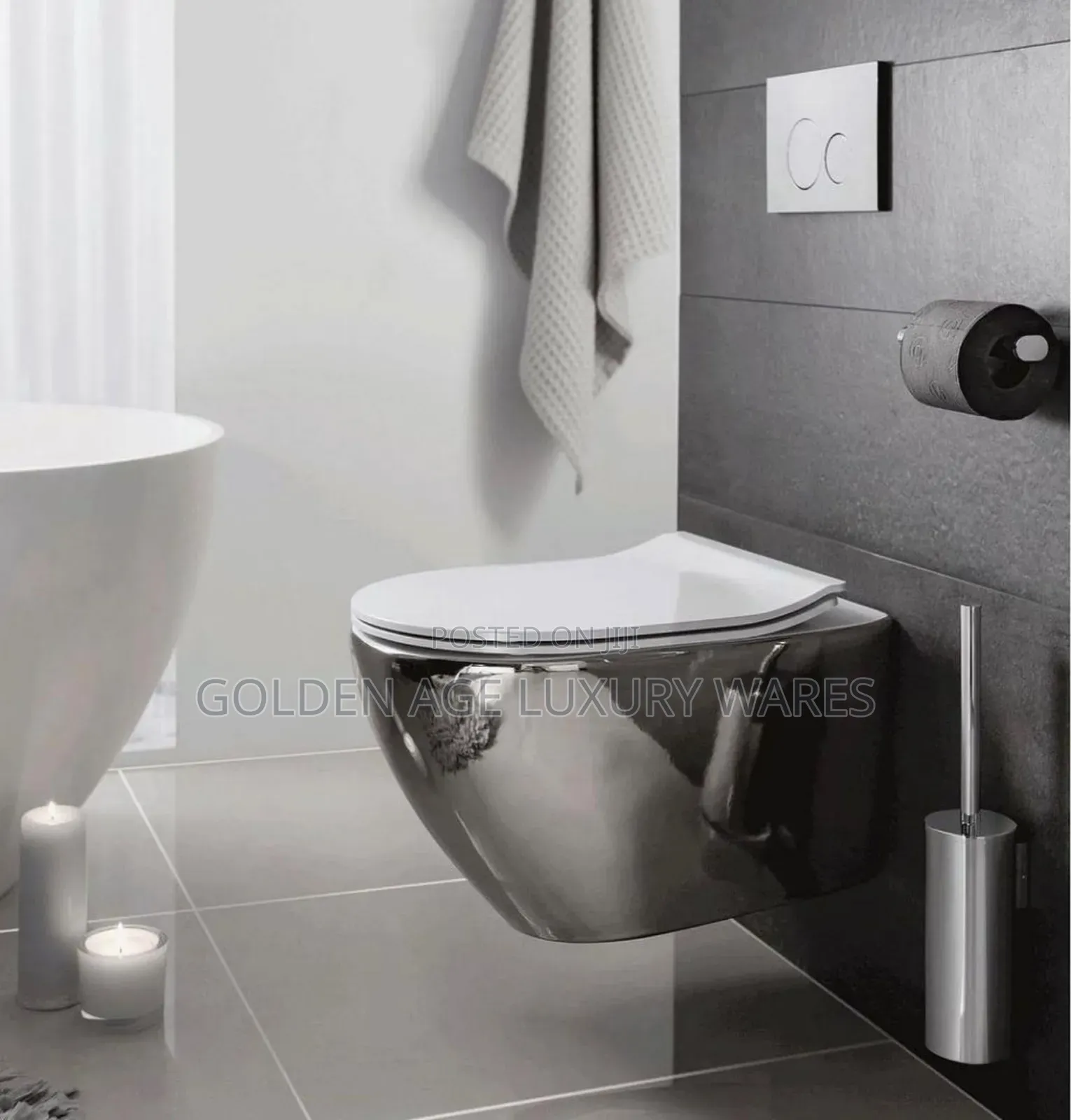 Silver Concealed Wc