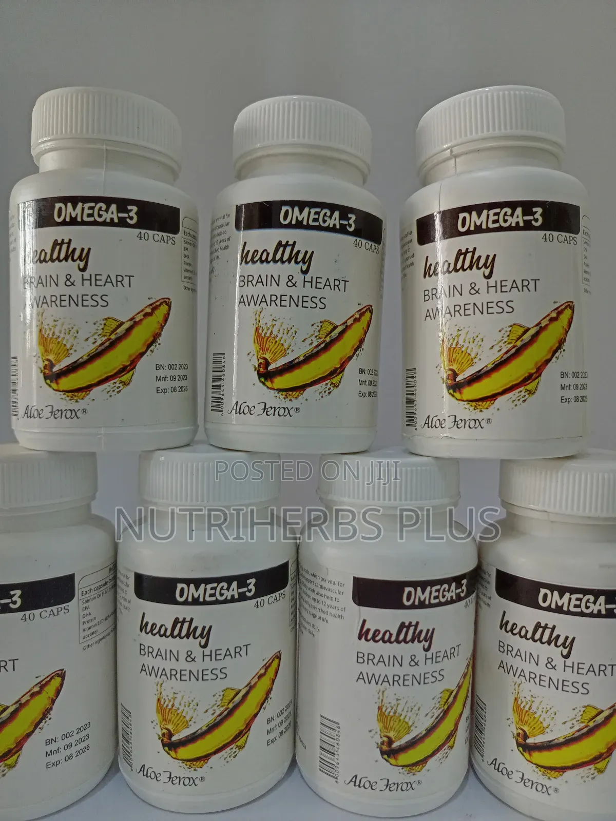 Aloe Ferox Omega 3 Capsules for Brain and Stress Management
