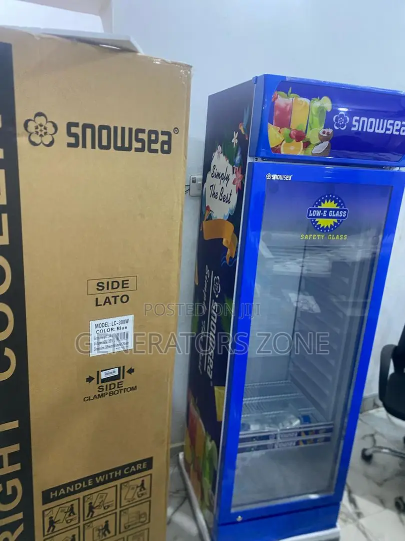 Energy-Efficient Cooling: Snowsea Lc-300w Chiller