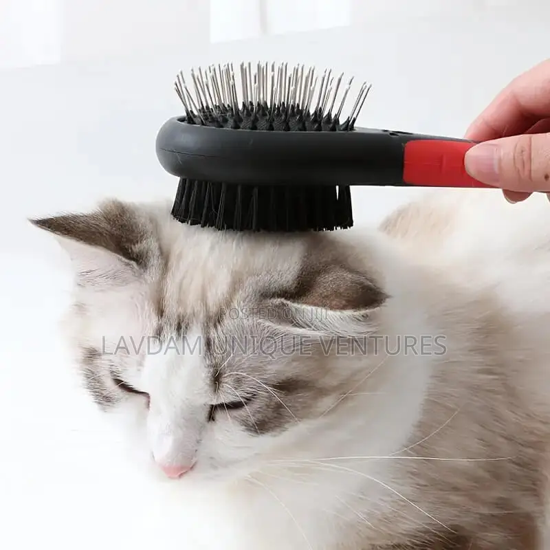 2 in 1 Double Sided Dog Brush for Pets Grooming