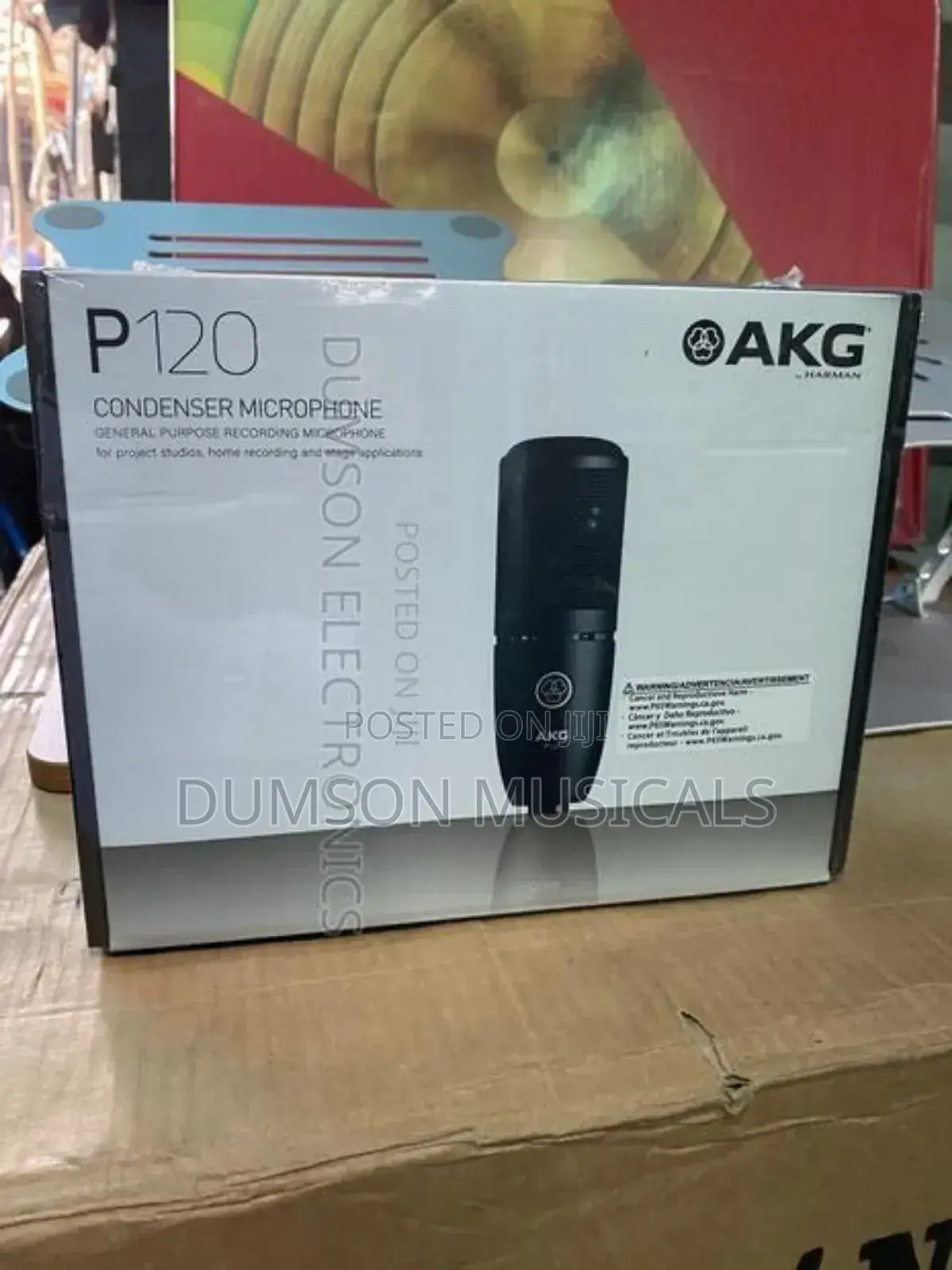 Akg P120 Studio Condenser Microphone