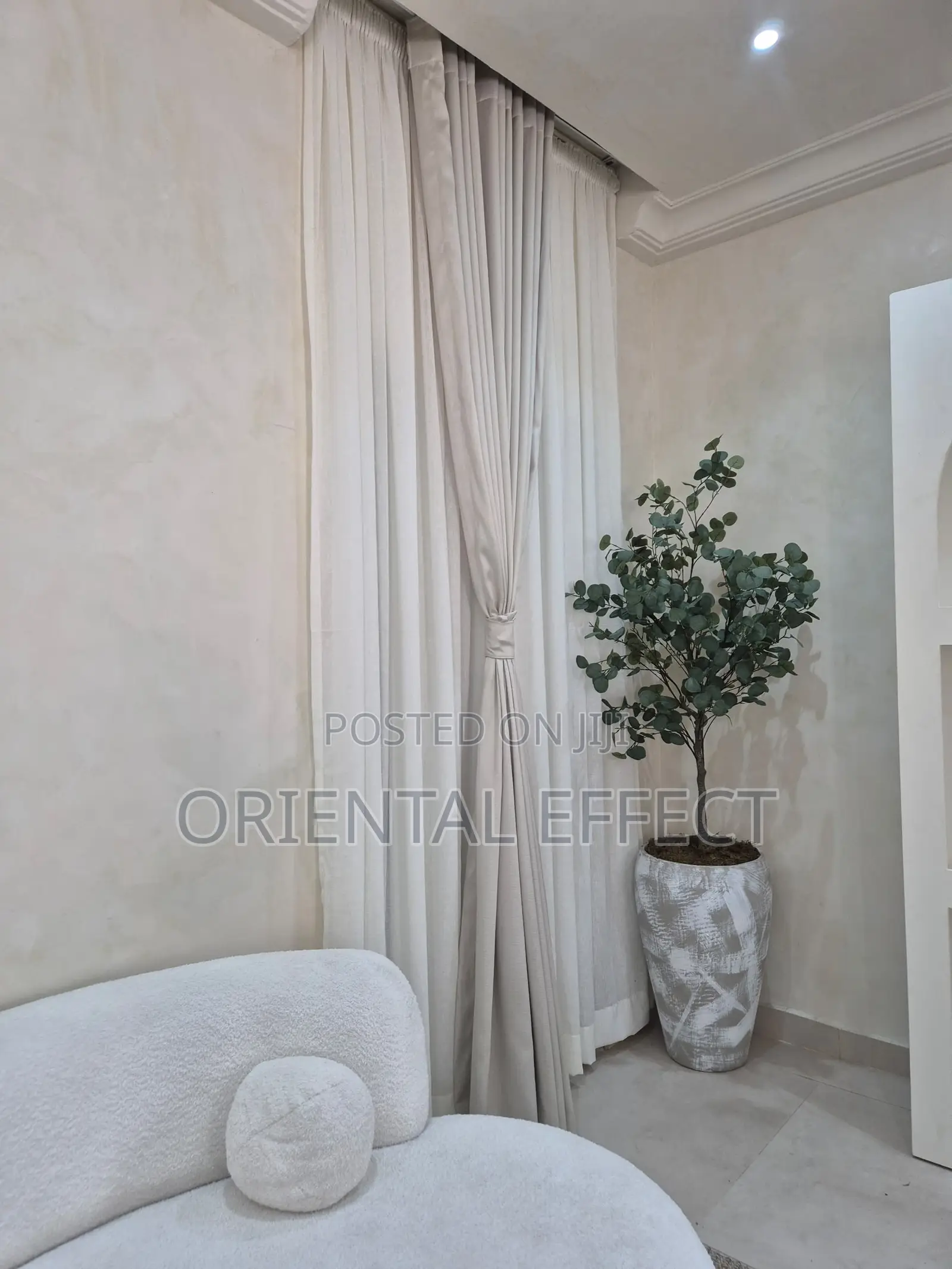 Eucalyptus Tree (205cm) With Stroked Rotunda Pot ( Big)
