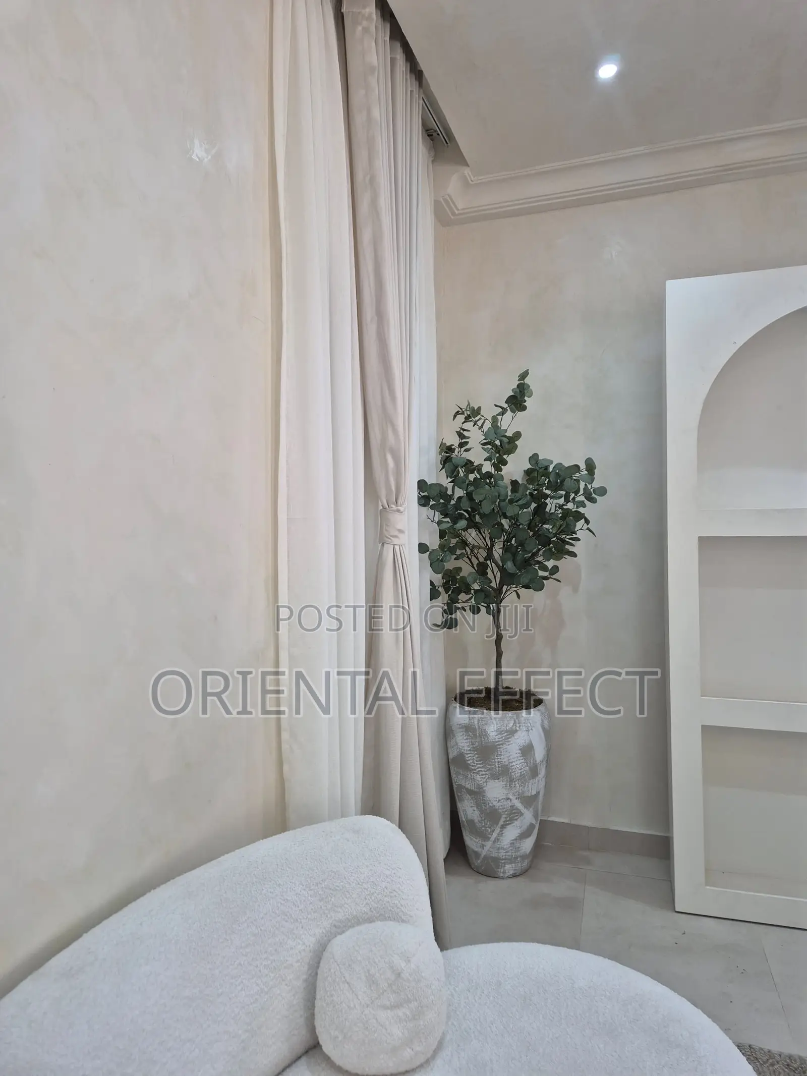 Eucalyptus Tree (205cm) With Stroked Rotunda Pot ( Big)