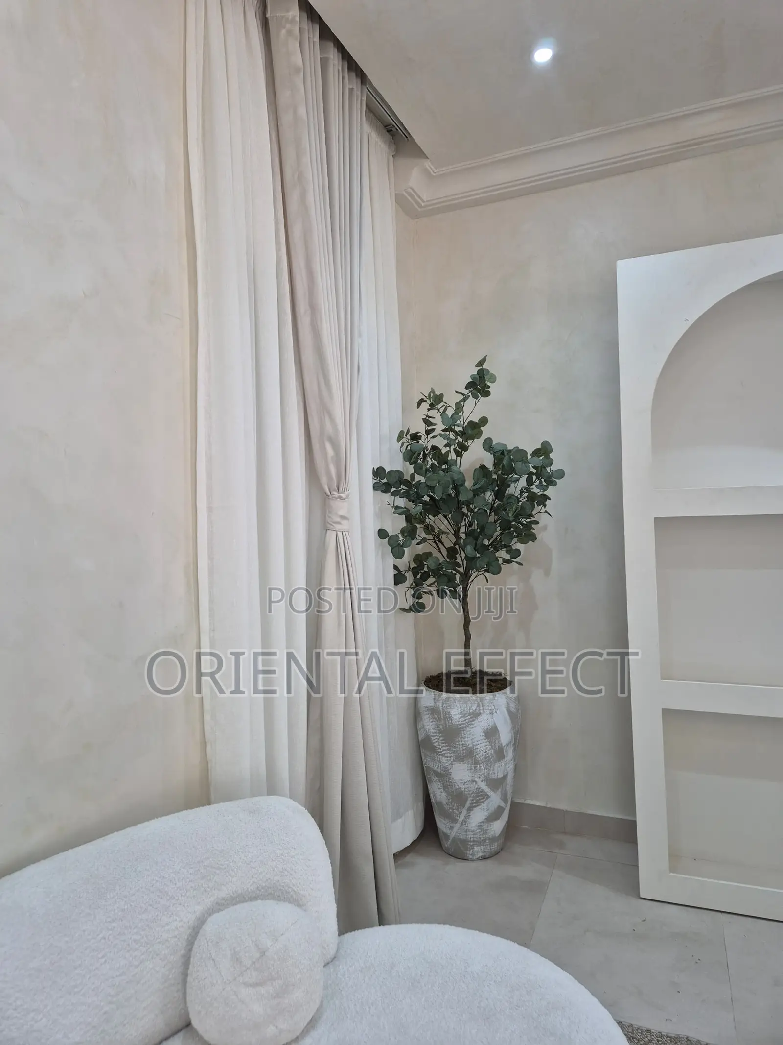 Eucalyptus Tree (205cm) With Stroked Rotunda Pot ( Big)