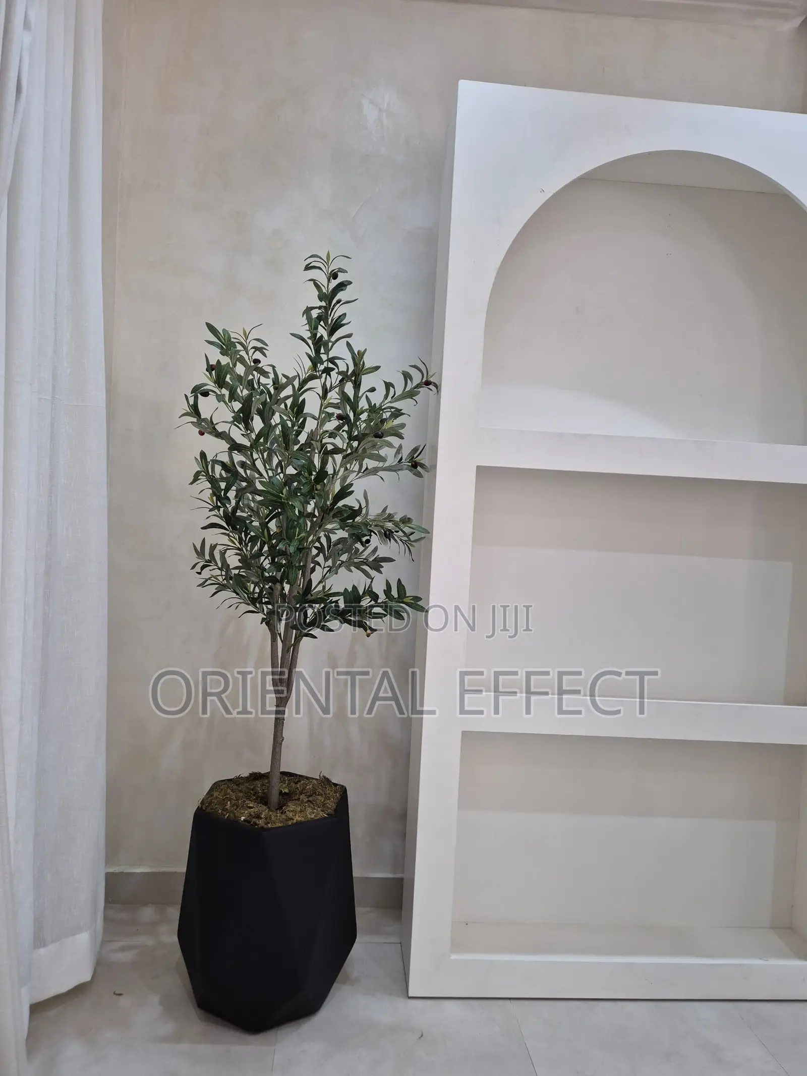 Artificial Olive Tree (180) With Matte Coral Pot ( Black)