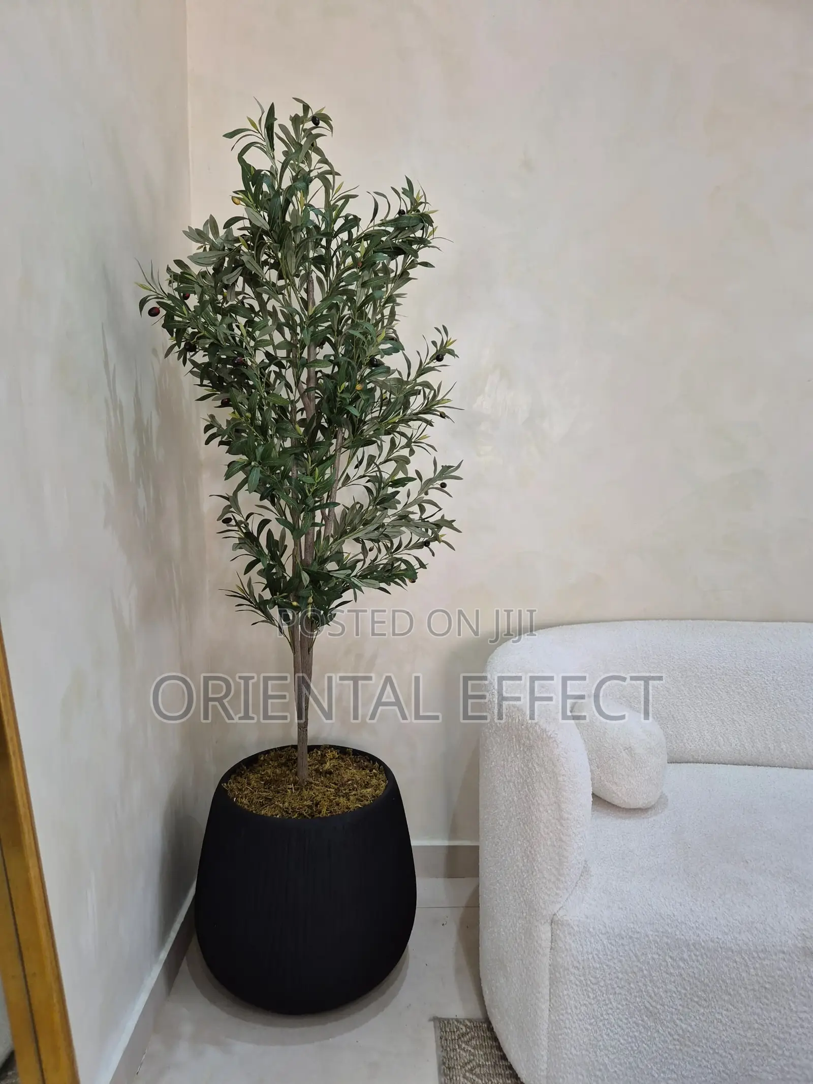Artificial Olive Tree With Matte Big Rough Merlot Black Pot