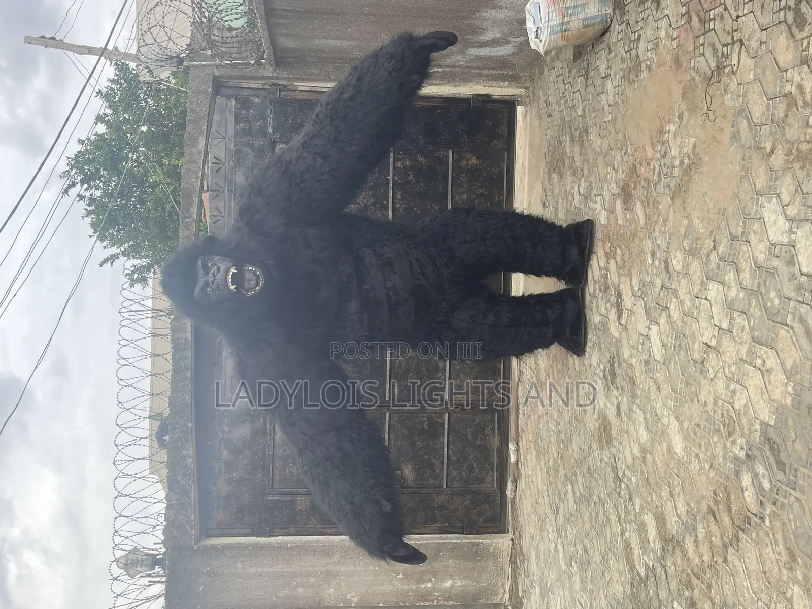 King Kong Mascot Costume