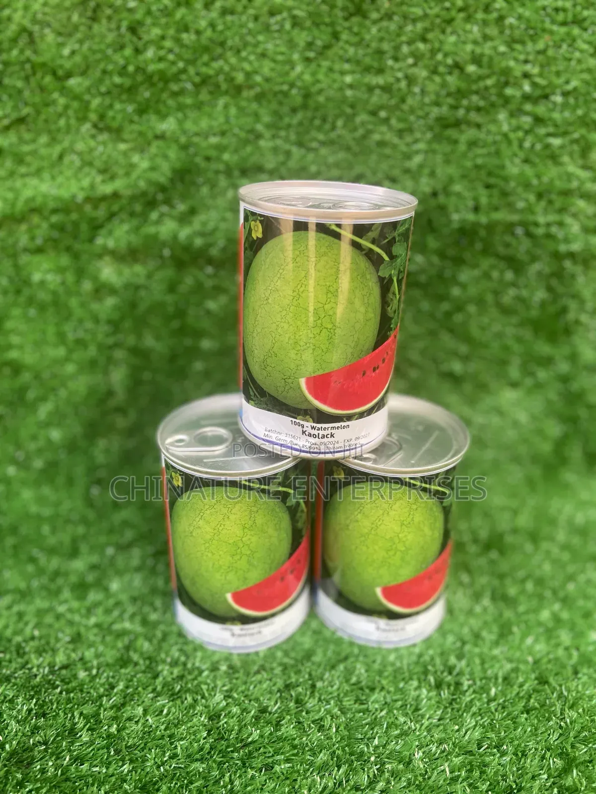 Water Melon Planting Seeds 100gm( Tin Packed