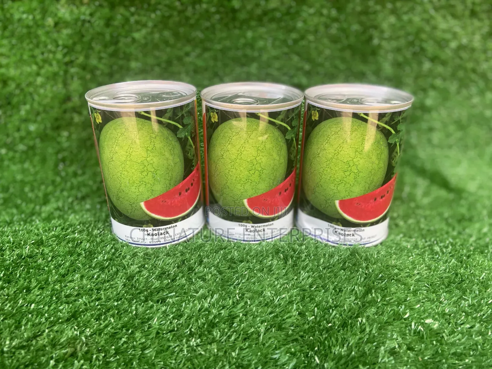 Water Melon Planting Seeds 100gm( Tin Packed