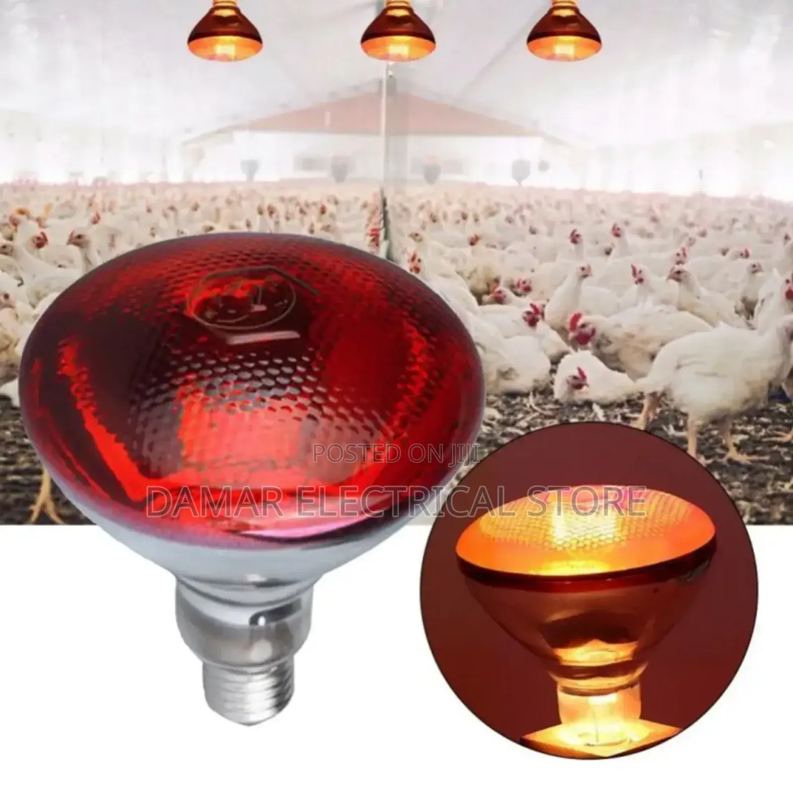 Infrared Heat Lamp