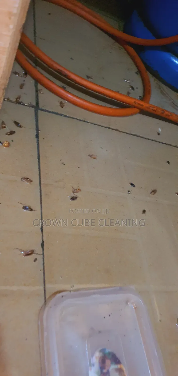 Fumigation Services Confirmed