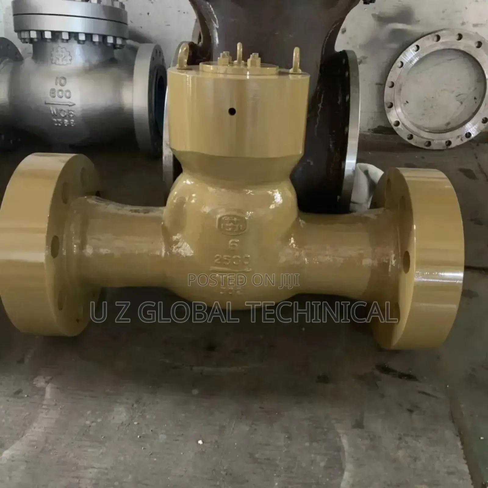 2inch Check Valve by 2500