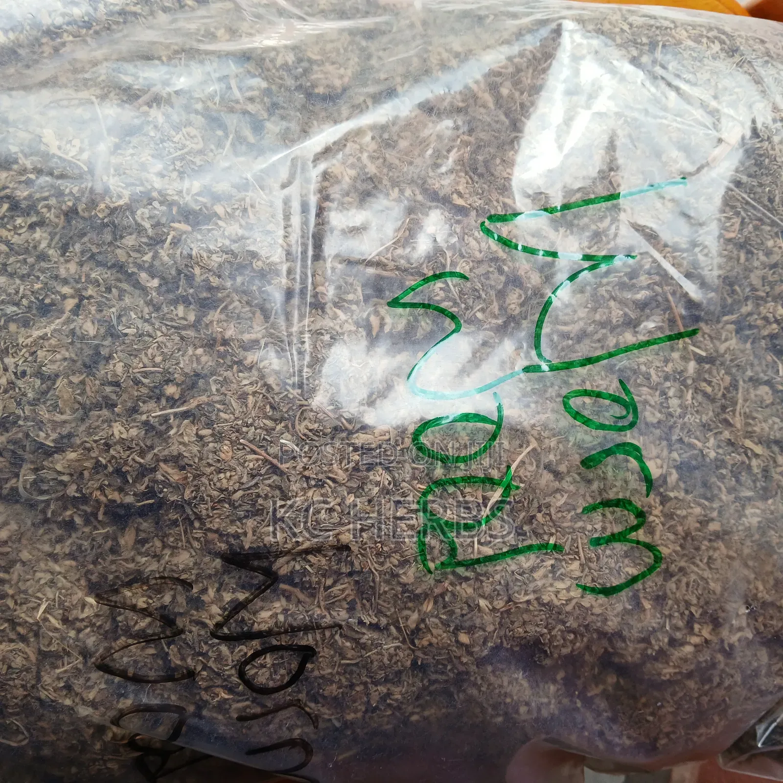 Wormwood Powder (250g)