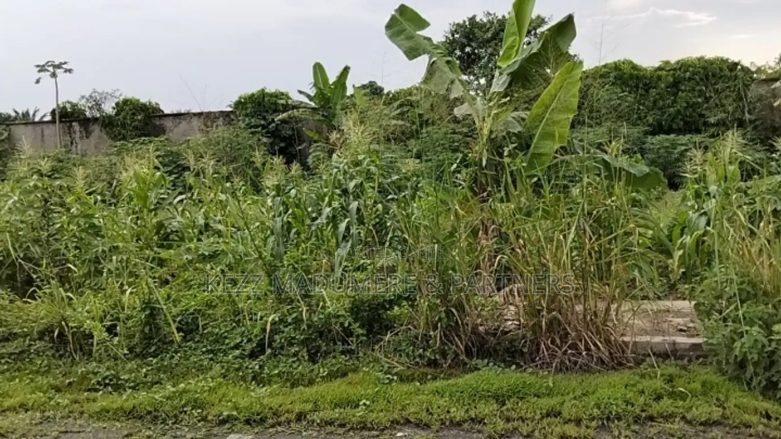 For Sale: 15 Plots on East West Rd Rumuokoro Okoro Eliozu,Ph