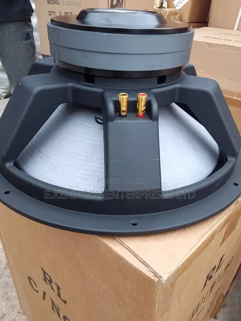 Professional 18 Inches JBL Double Magnet Naked Speaker