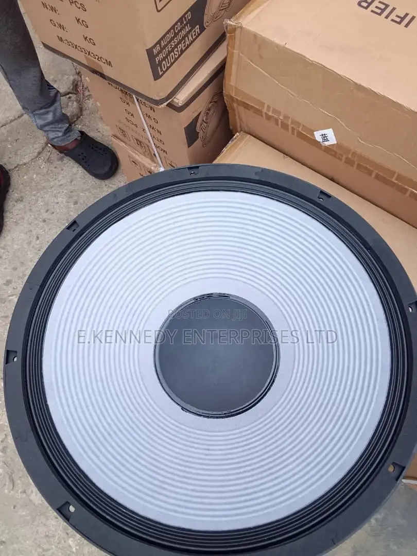 Professional 18 Inches JBL Double Magnet Naked Speaker