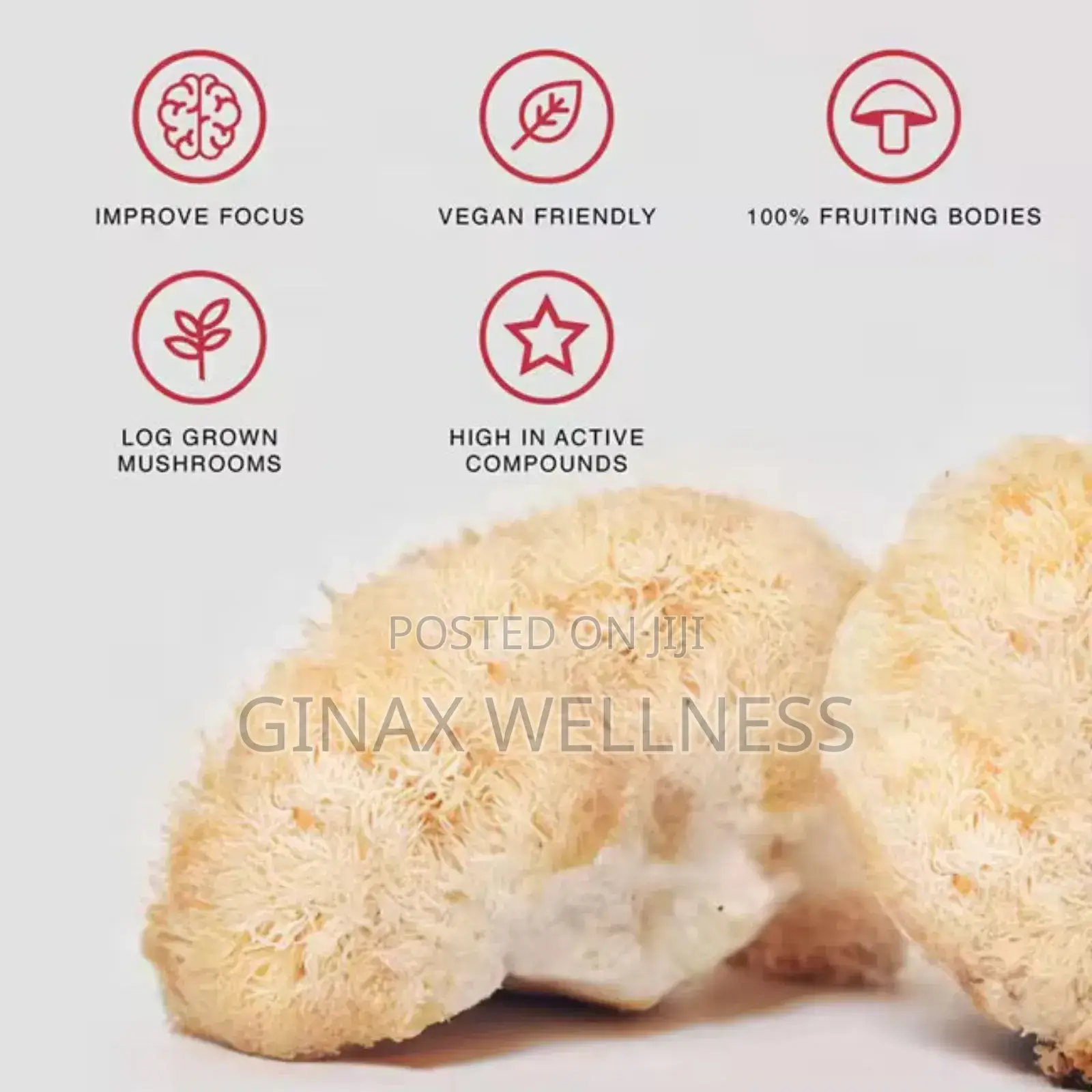 Lion’S Mane Powder (454g Size, 1.5g Lions Mane Extract)