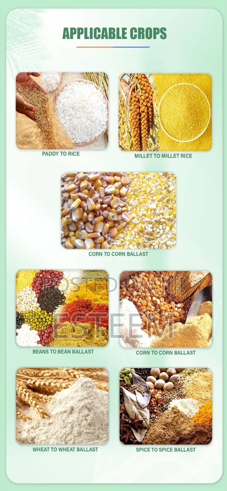 Combine Rice Milling Machine -4in1