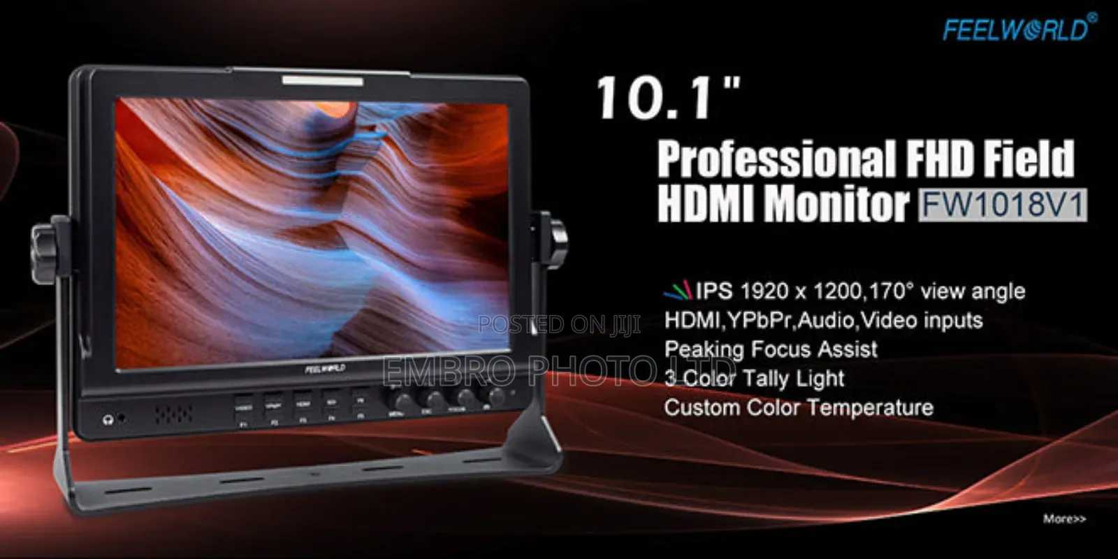 Freeworld Fw101 Director Monitor