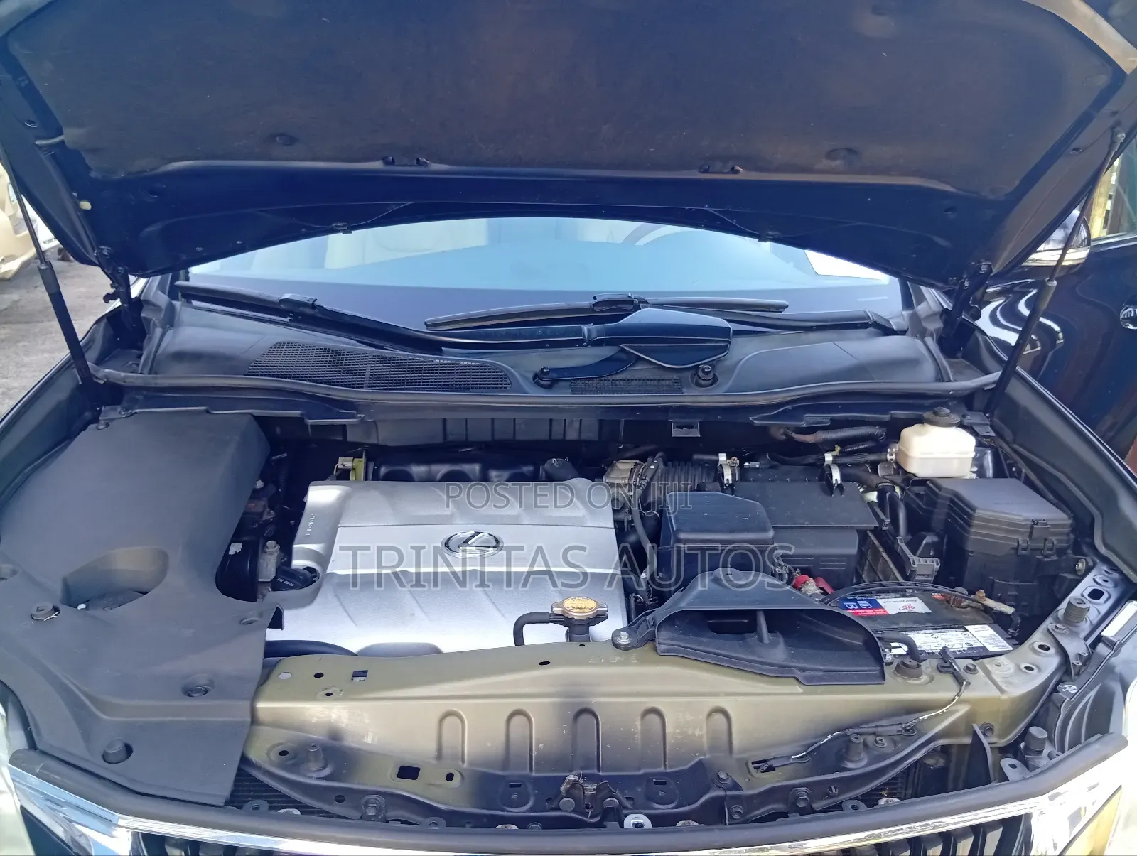 Lexus RX 350 2010 Blue