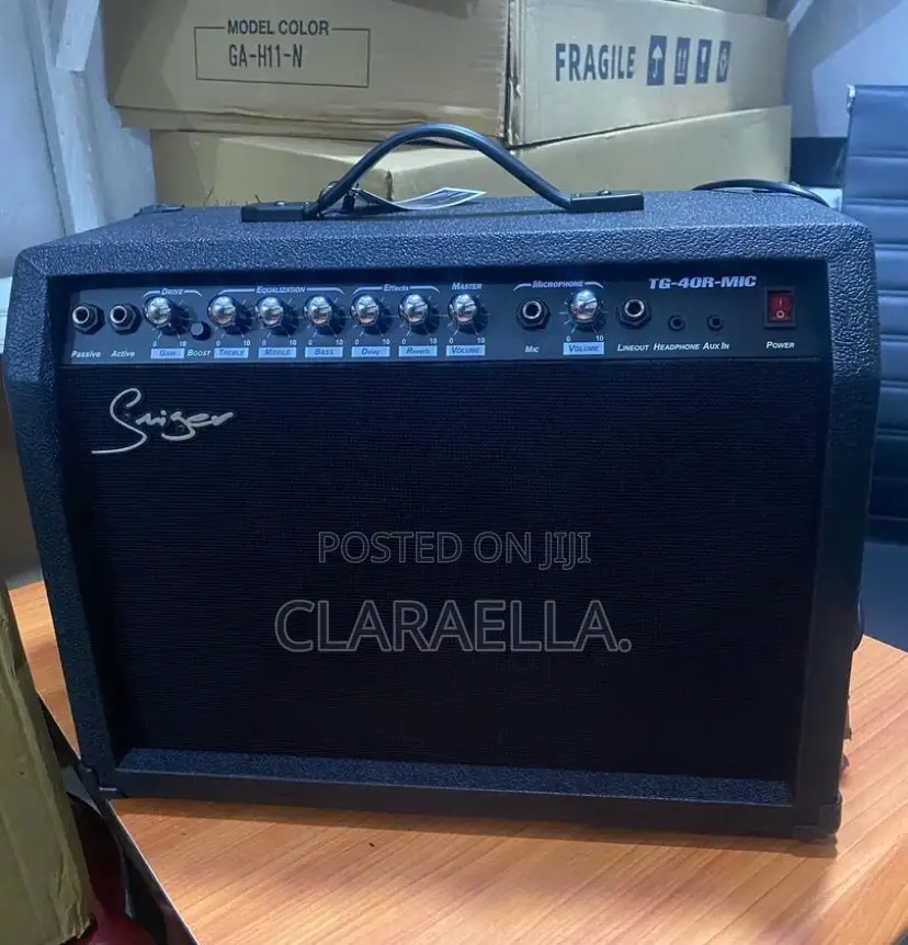 Smiger Tg-40r-Mic Leed Guitar Combo Amplifier