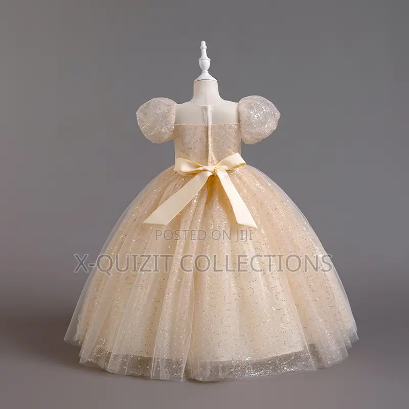 Glitter Embroidered Appliqué Gown (9-12y)
