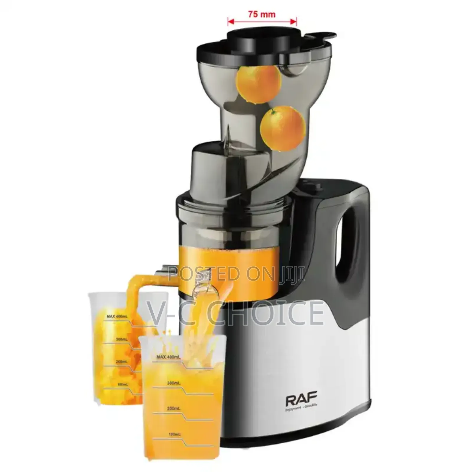 Raf 150w Slow Fruit Juicer And Extractor