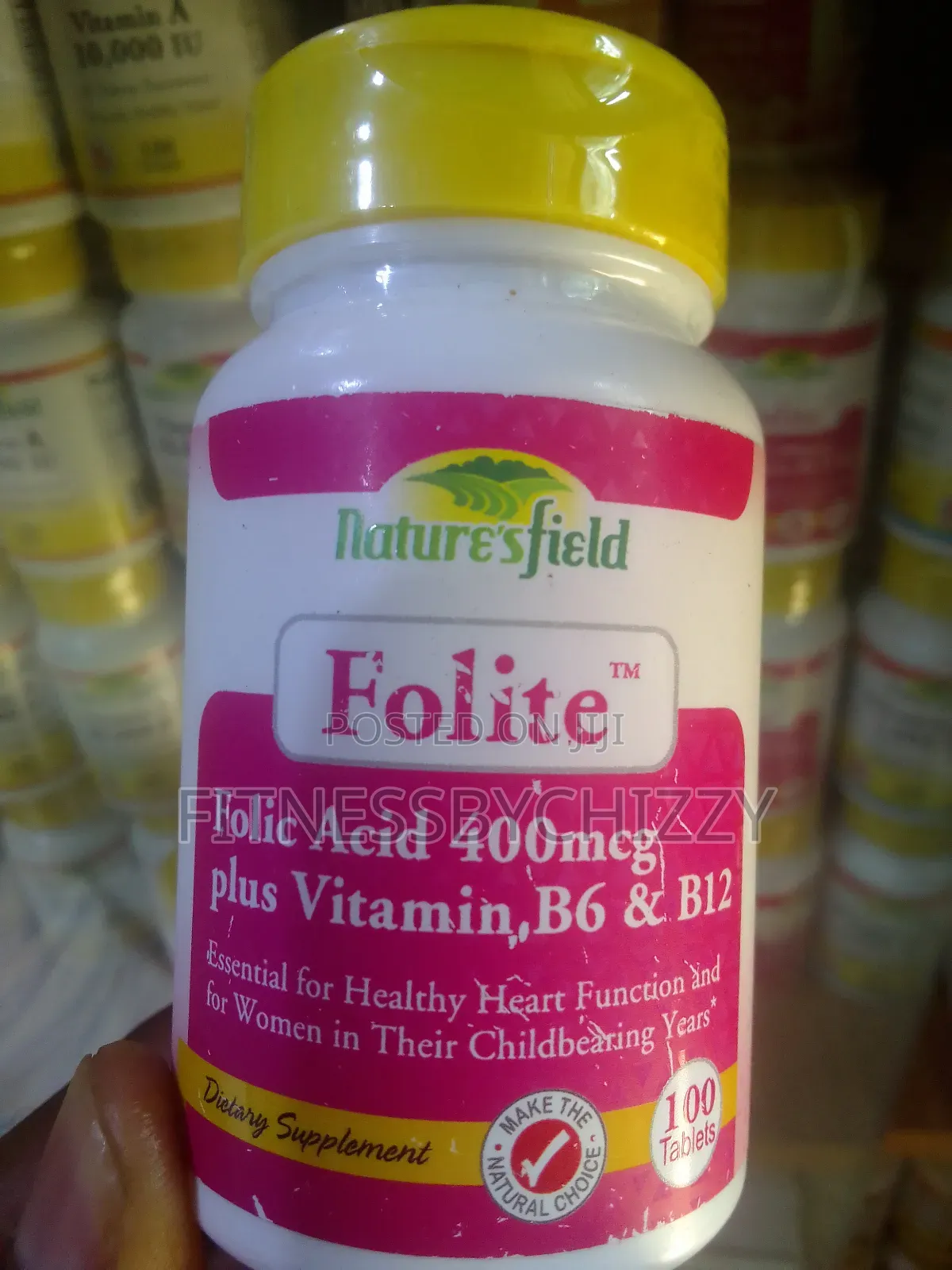 Nature's Field Folic Acid 400mg X 100 Tablets
