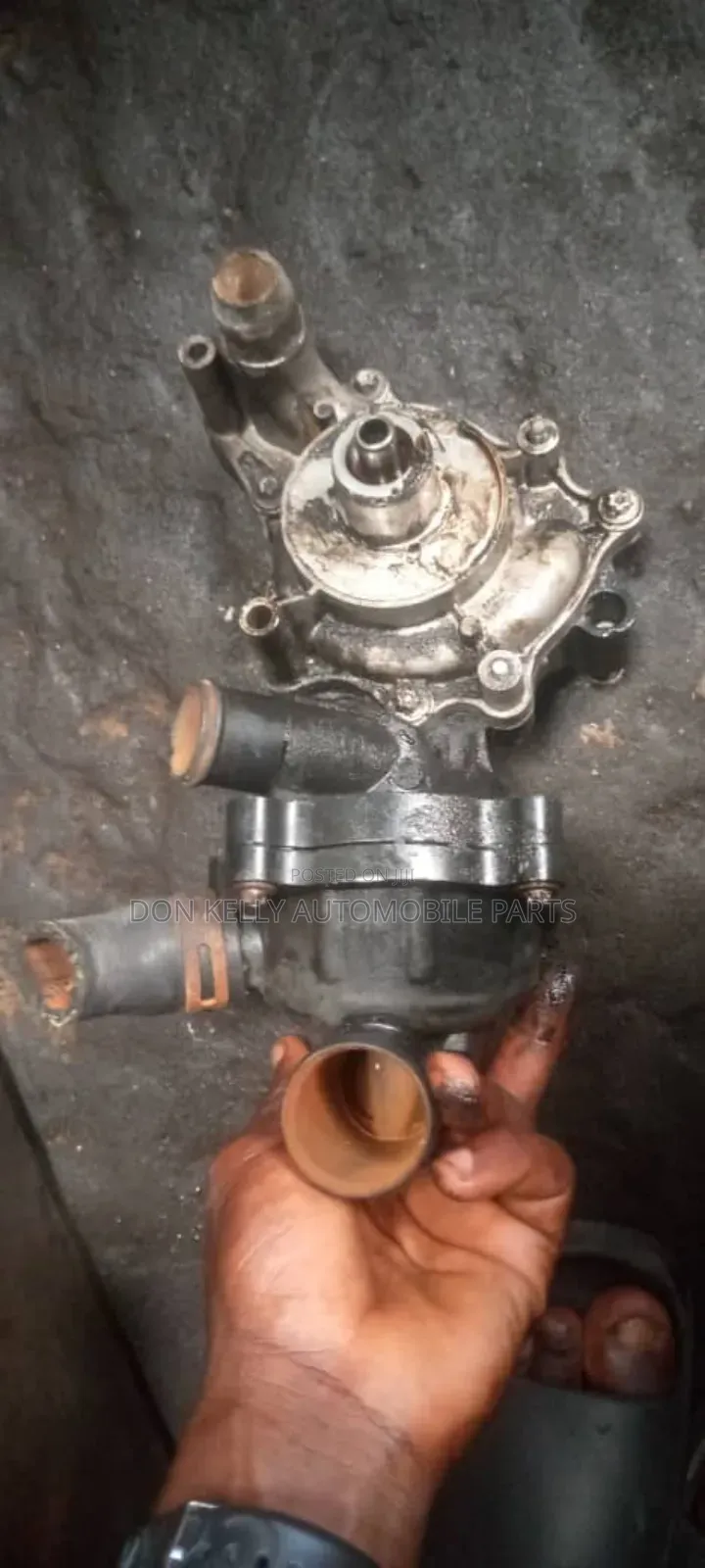 Audi Q7 Water Pump 4.2/Audi A8l