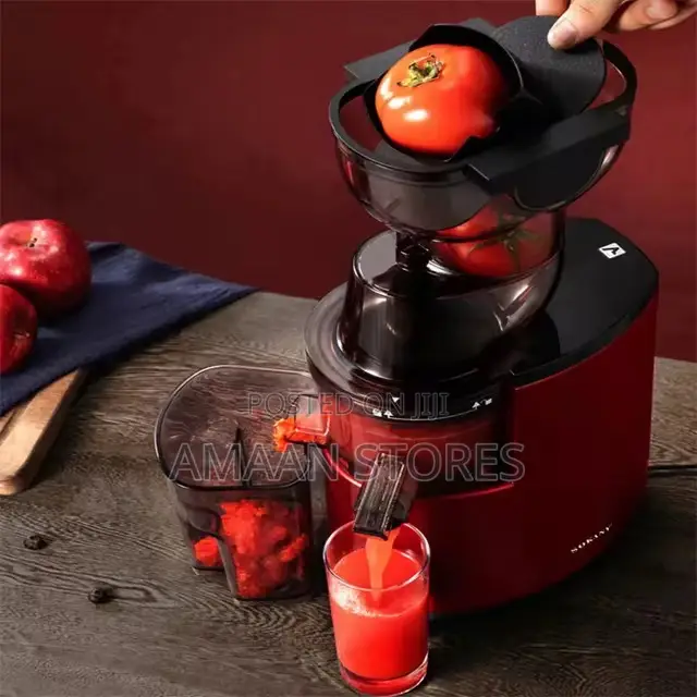 Sokany Electric Slow Juicer