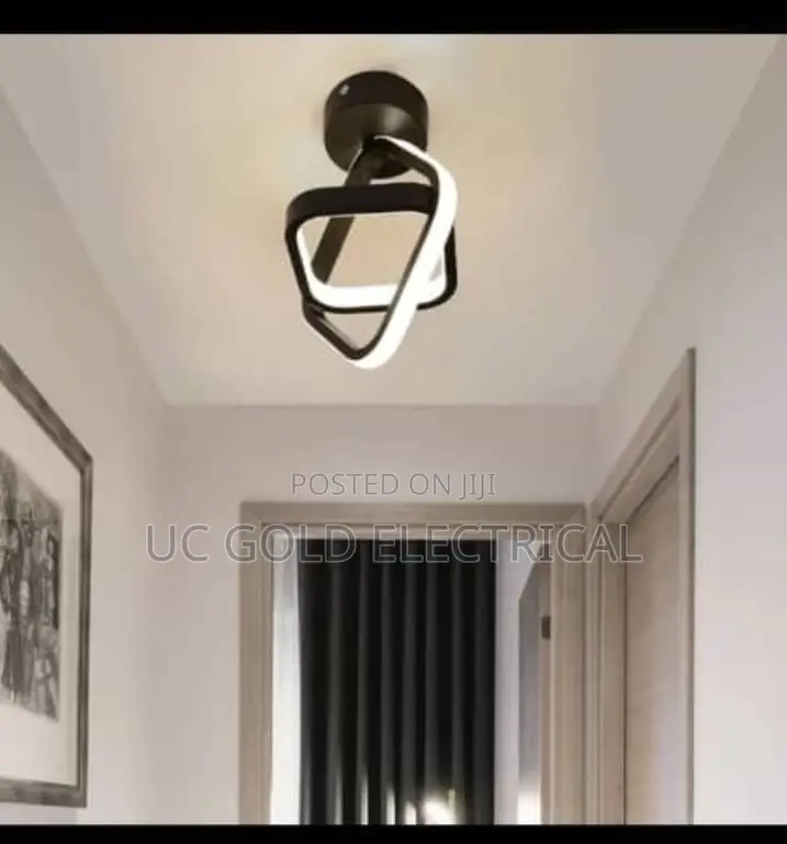 Modern Simple Led Petal Ceiling Lamp Electrodeless