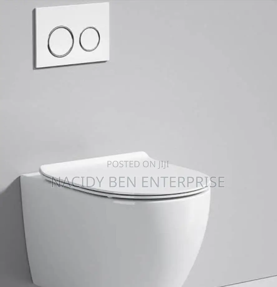Conceal Wc ( Sitting Wall Hug)