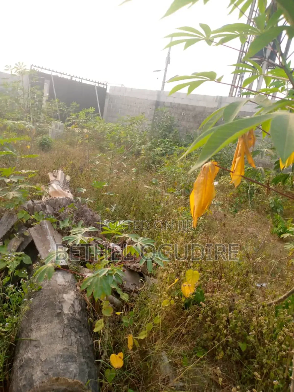 Land in Good Location