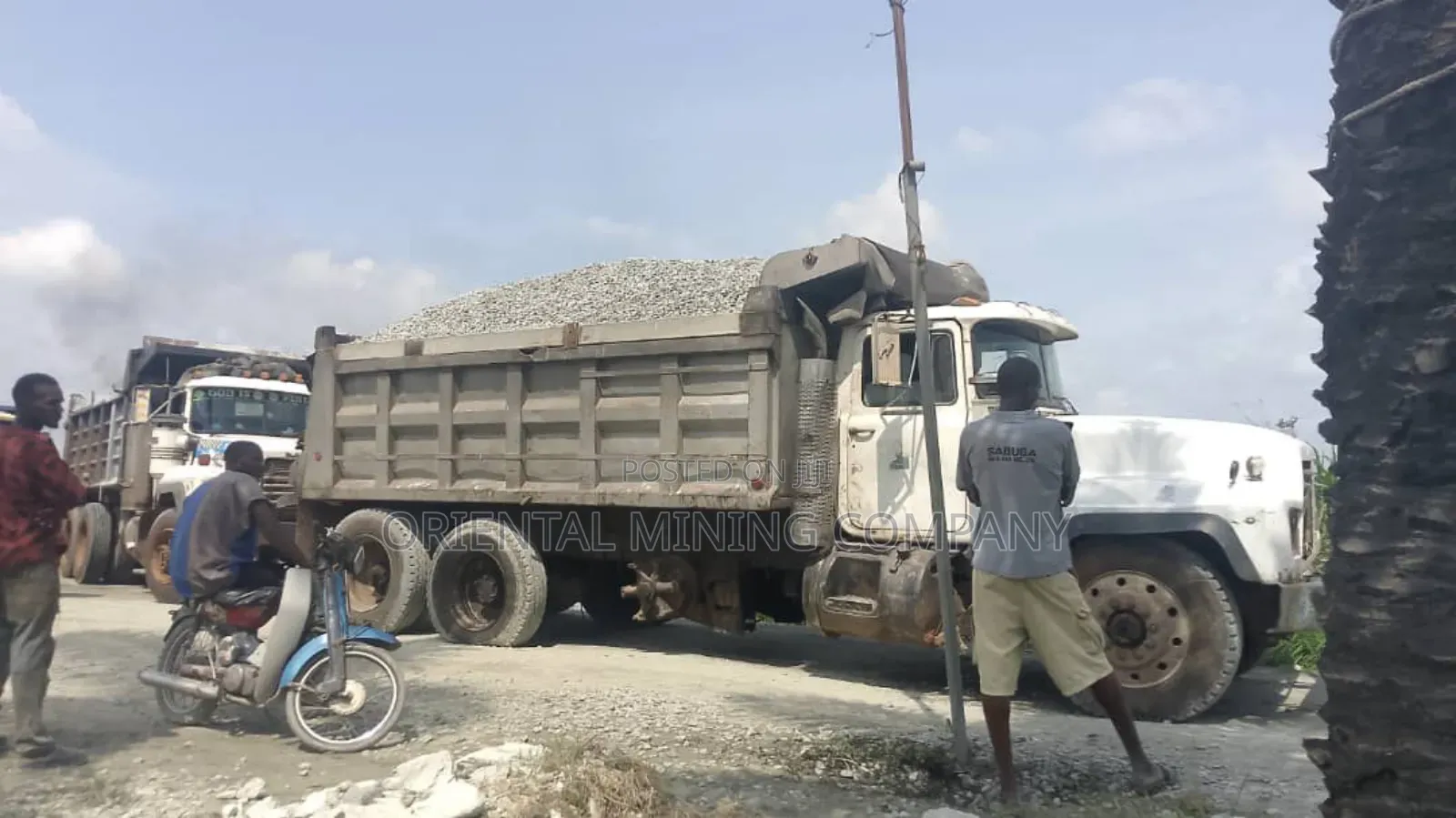 Clean Granite Iron Chippings (All Sizes Available)