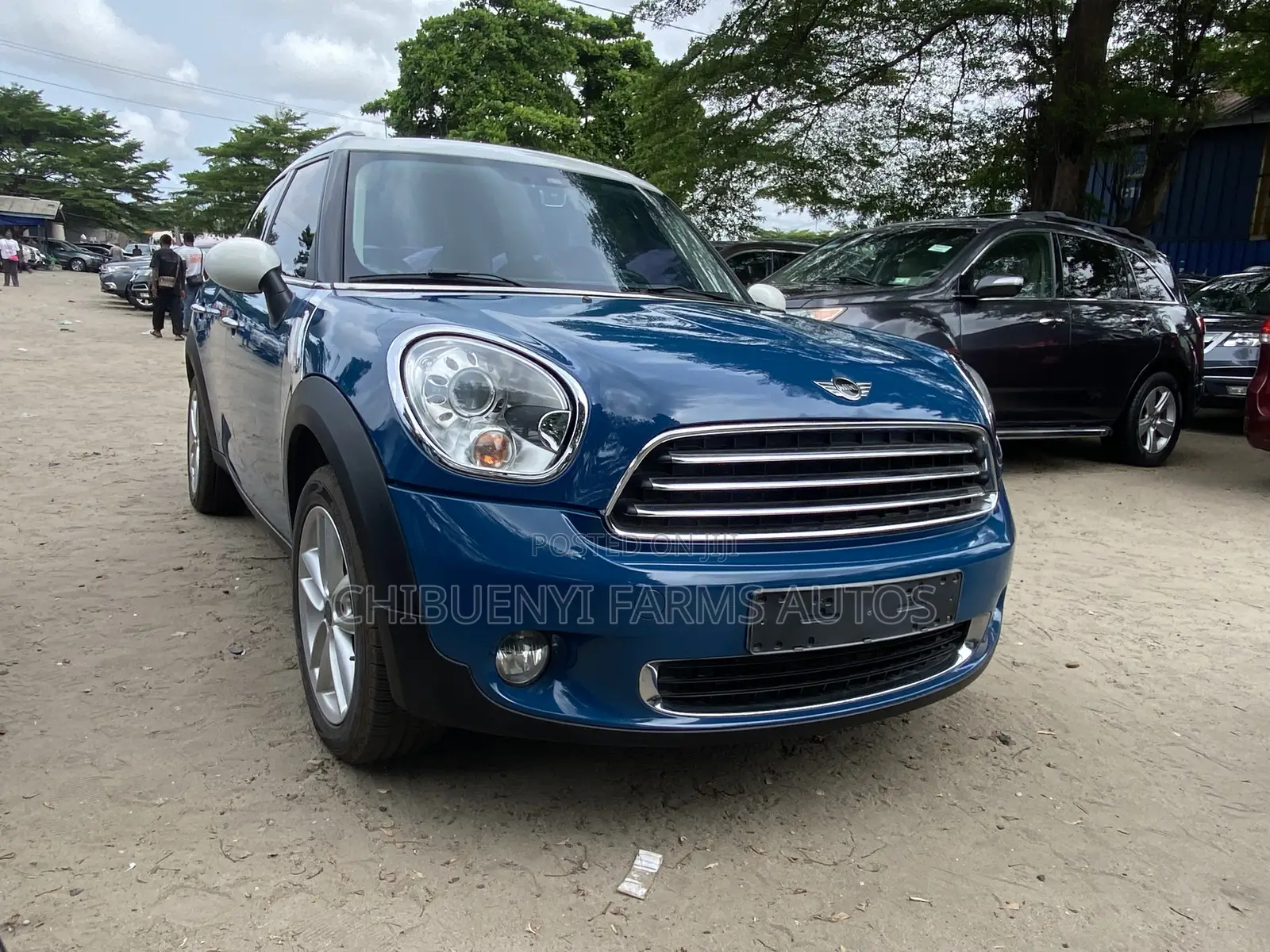 Mini Countryman 2011 Blue